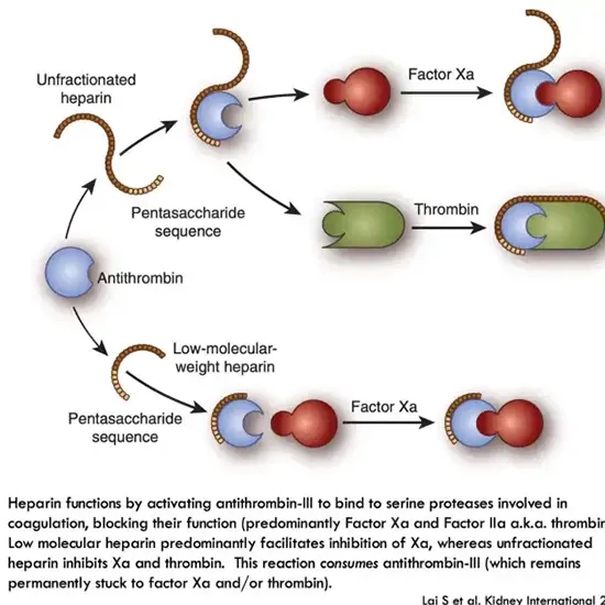antithrombin activity functional
